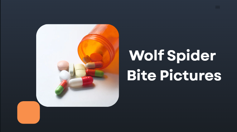 Wolf Spider Bite Pictures Wolf Spider Bite Pictures