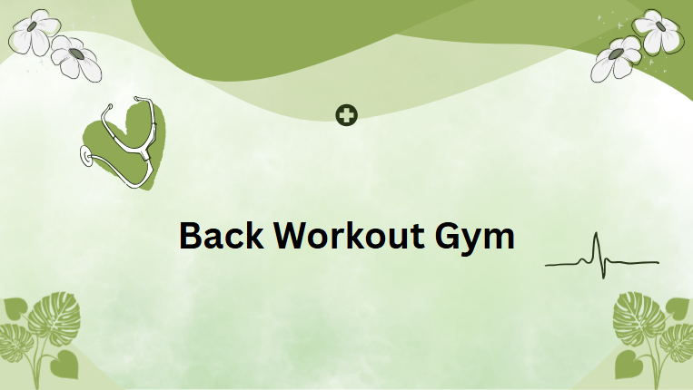 Back Workout Gym Back Workout Gym