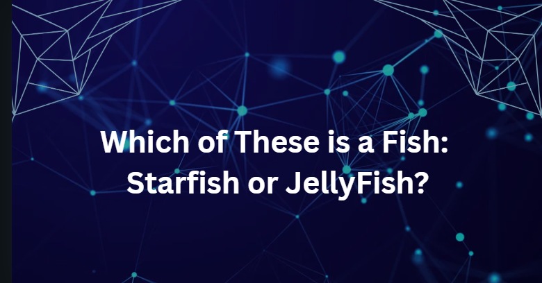 Which of These is a Fish: Starfish or JellyFish? Which of These is a Fish: Starfish or JellyFish?